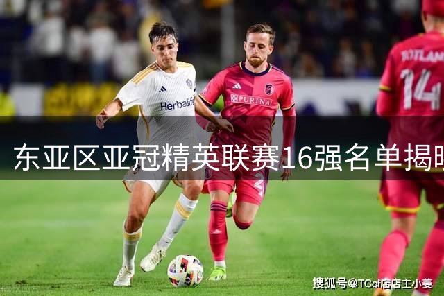 东亚区亚冠精英联赛16强名单揭晓 中日韩泰劲旅云集